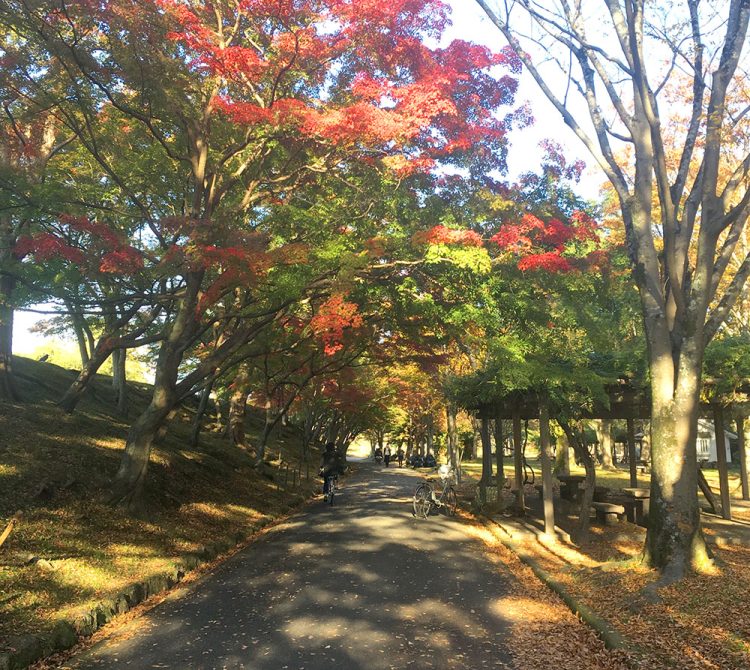 姫山公園